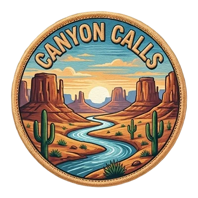 Printed Embroidered Patch 7