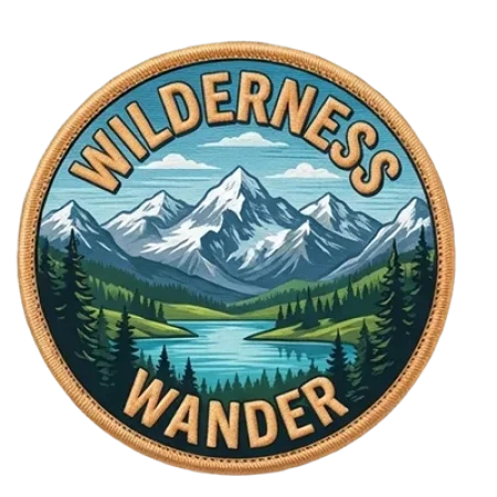 Printed Embroidered Patch 6